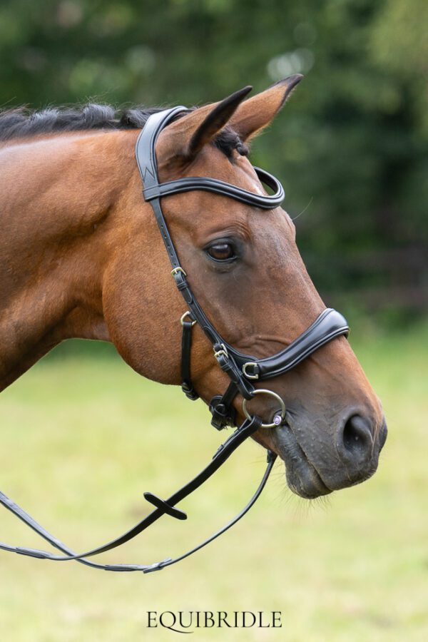 Equibridle bitloos combinatie hoofdstel Wendy - zwart - Afbeelding 2