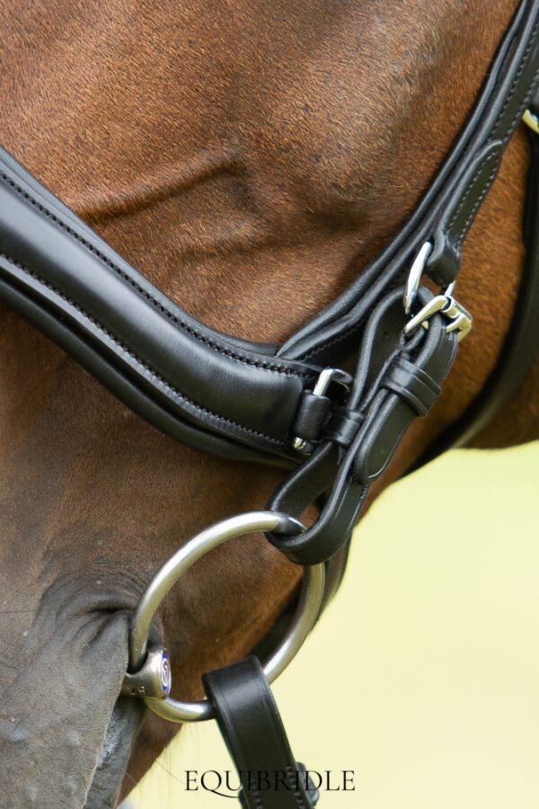 Equibridle bitloos combinatie hoofdstel Wendy - zwart - Afbeelding 5