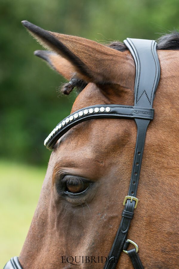 Equibridle bitloos combinatie hoofdstel Wendy - zwart - Afbeelding 6
