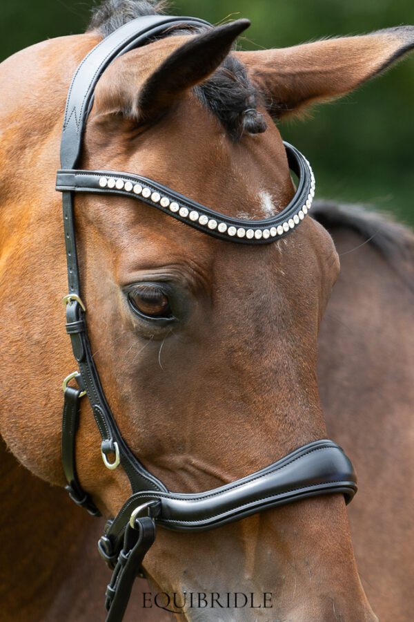 Equibridle bitloos combinatie hoofdstel Wendy - zwart - Afbeelding 7