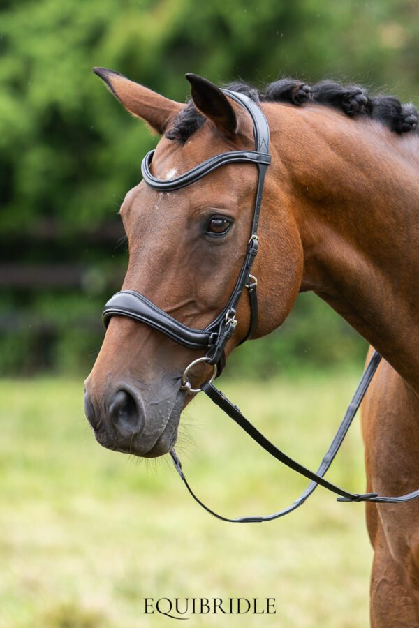 Equibridle bitloos combinatie hoofdstel Wendy - zwart - Afbeelding 8