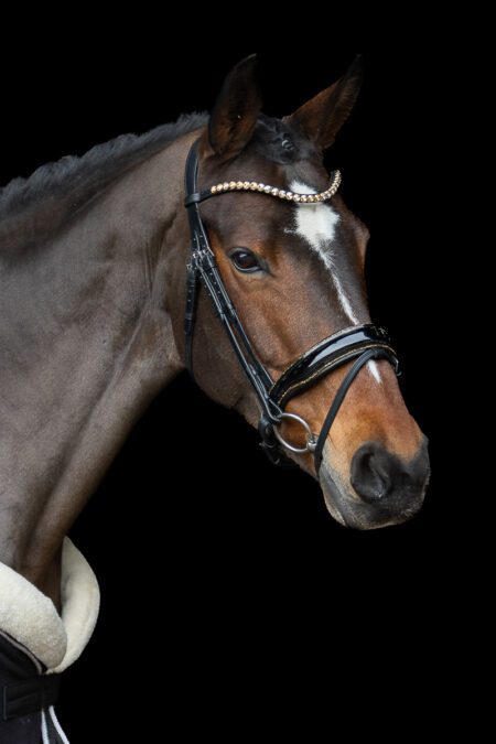 LIMITED! Equibridle anatomisch hoofdstel Glamour - Goud glitter