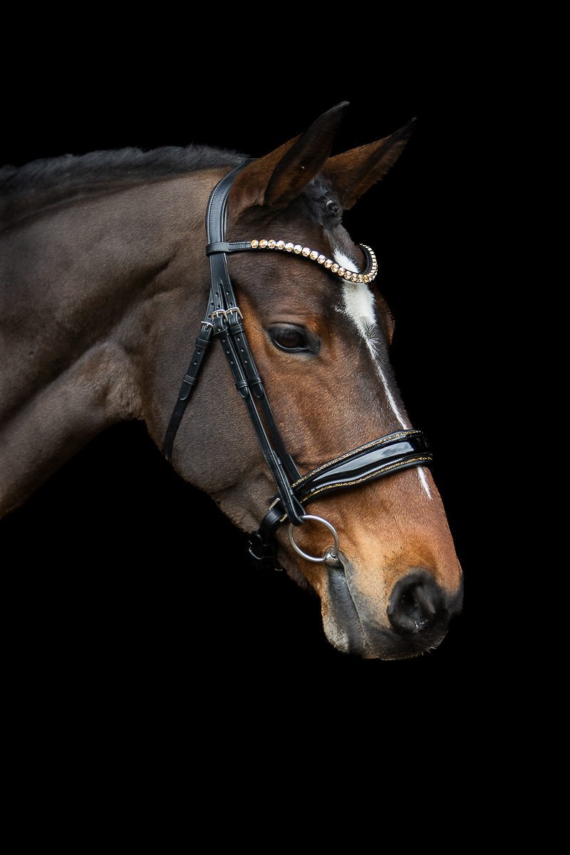 LIMITED! Equibridle anatomisch hoofdstel Glitter - Goud glitter