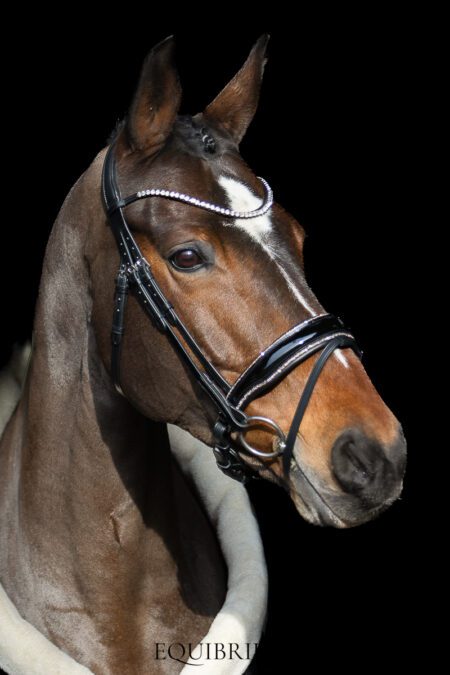 LIMITED! Equibridle anatomisch hoofdstel Glamour - Rosé goud glitter