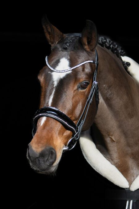 LIMITED! Equibridle anatomisch hoofdstel Glitter - Rosé goud glitter