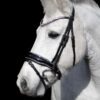 LIMITED! Equibridle anatomisch hoofdstel Glamour - Zilver glitter