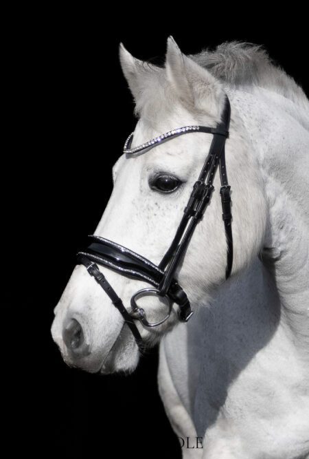 LIMITED! Equibridle anatomisch hoofdstel Glamour - Zilver glitter