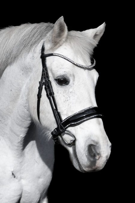 LIMITED! Equibridle anatomisch hoofdstel Glitter - Zilver glitter