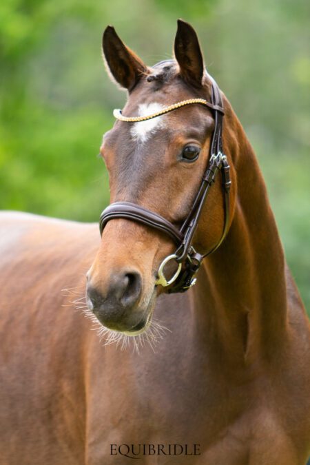 Equibridle anatomisch hoofdstel Ferro Smal - bruin