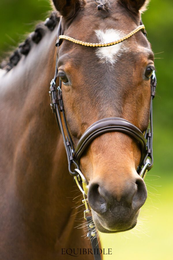 Equibridle anatomisch hoofdstel Ferro Smal - bruin - Afbeelding 2