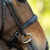 Equibridle hoge neusriem Ferro Smal - zwart lak