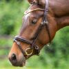 Equibridle anatomisch hoofdstel Zonik Smal - bruin zilver