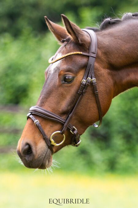 Equibridle anatomisch hoofdstel Zonik Smal - bruin