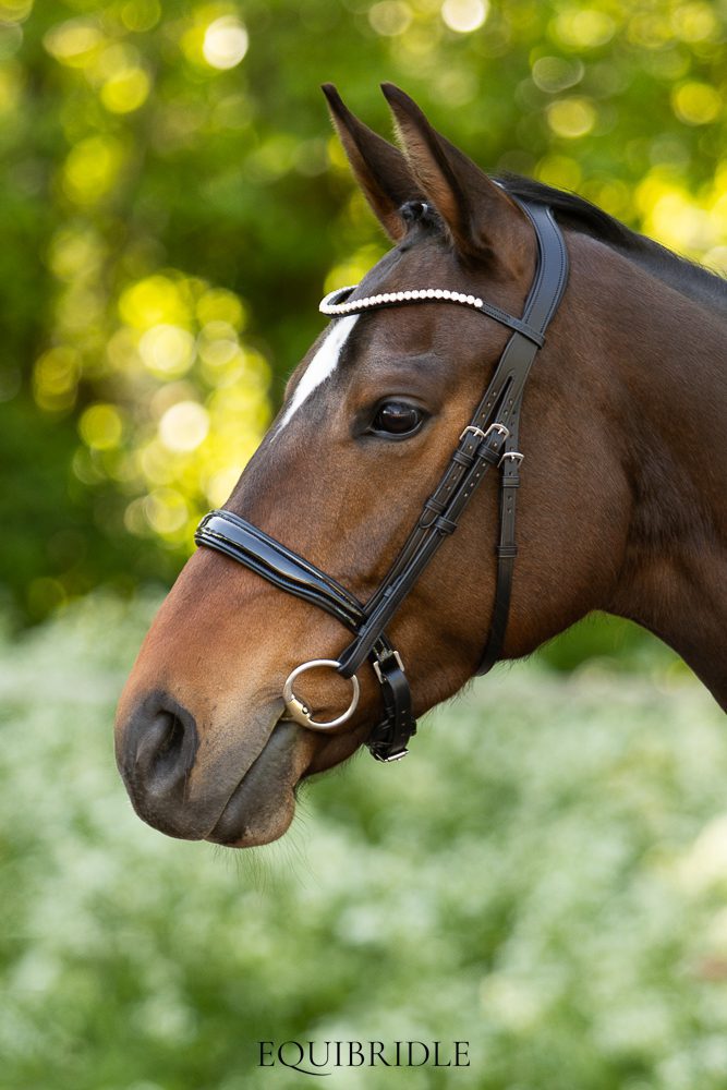 Equibridle anatomisch hoofdstel Ferro Smal - zwart lak