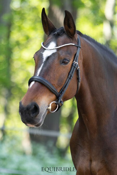 Equibridle anatomisch hoofdstel Ferro Smal - zwart soft