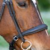 Equibridle hoge neusreim Ferro Smal - zwart soft