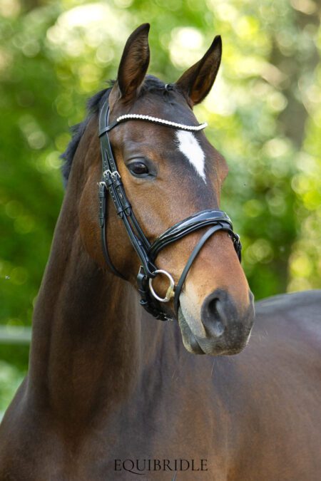 Equibridle anatomisch hoofdstel Zonik Smal- zwart lak