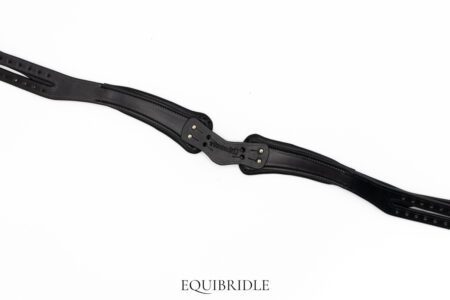 Anatomisch Atlas kopstuk