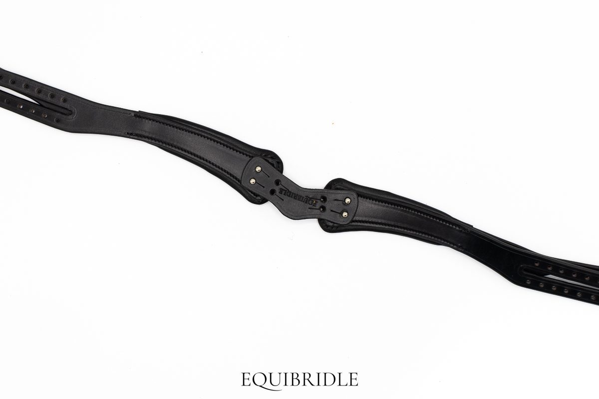 Anatomisch Atlas kopstuk