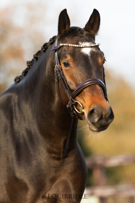 Equibridle anatomisch hoofdstel Ferro Smal - bruin goud