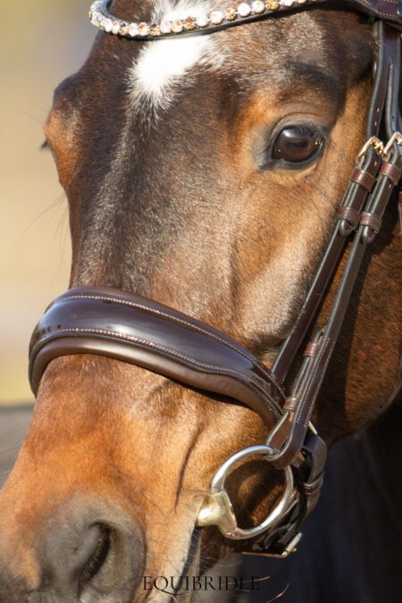 Equibridle hoge neusriem Ferro - bruin lak goud