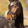 Equibridle anatomisch hoofdstel Zonik - bruin lak goud