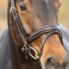 Equibridle gecombineerde neusriem Zonik Smal - bruin goud