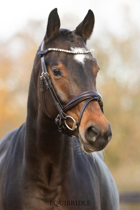 Equibridle anatomisch hoofdstel Zonik Smal - bruin goud
