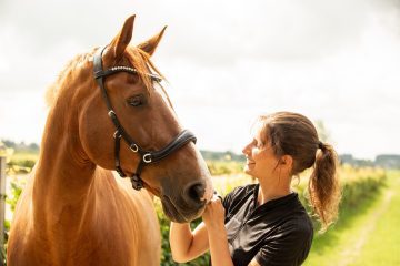 luniq-equibridle-54 luniq-equibridle-54