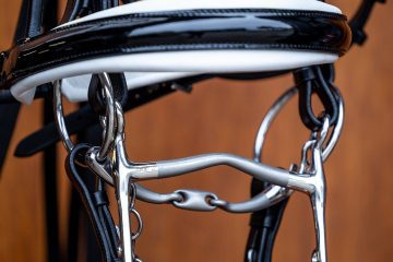 webCV4A8967.jpg webCV4A8967.jpg